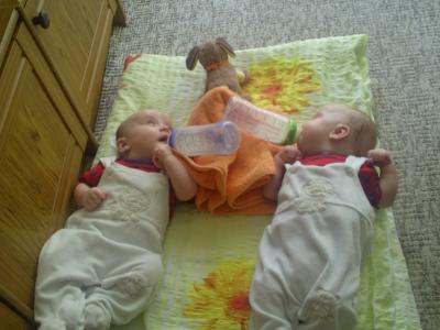 Bild zu Raubtierfütterung... - Forum und Treffpunkt für Omas