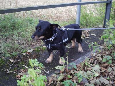 Bild zu Casillas so süß - Forum und Treffpunkt für Omas