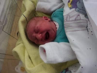 Bild zu Bilder von Piero Miguel !! - Forum und Treffpunkt für Omas