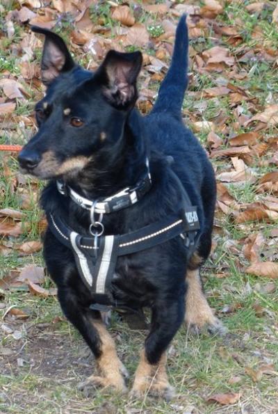 Bild zu mal wieder Bilder von Casillas 1 - Forum und Treffpunkt für Omas