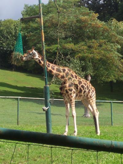 Bild zu Bilder vom Urlaub - Forum und Treffpunkt für Omas