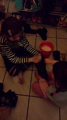 Bild zu meine enkelmäuse - Forum und Treffpunkt für Omas