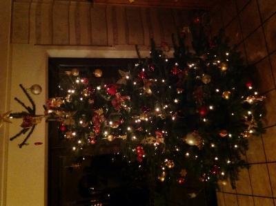 Bild zu So...Weihnachten kann kommen! - Forum und Treffpunkt für Omas