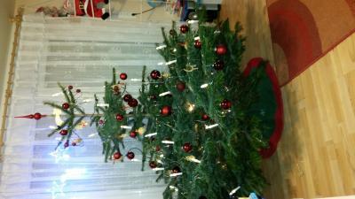 Bild zu Ergebnis Tannenbaum - Forum und Treffpunkt für Omas