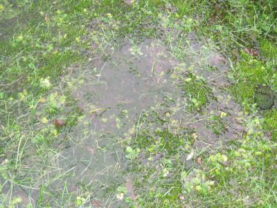 Bild zu fiesische seenplatte - Forum und Treffpunkt für Omas