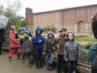 Bild zu Nik ist im KH - Forum und Treffpunkt für Omas