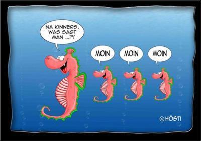 Bild zu sonniger dienstag - Forum und Treffpunkt für Omas