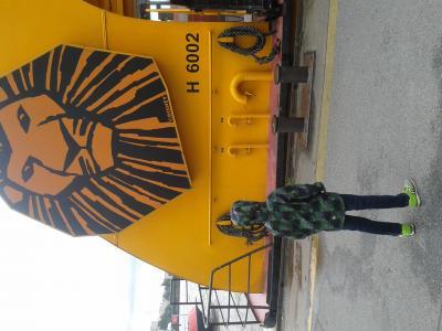 Bild zu Wieder zu Hause - Forum und Treffpunkt für Omas