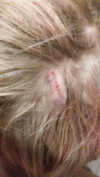 Bild zu Unser Tim - Forum und Treffpunkt für Omas