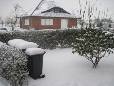 Bild zu schneeeeeeeeeeeeee - Forum und Treffpunkt für Omas