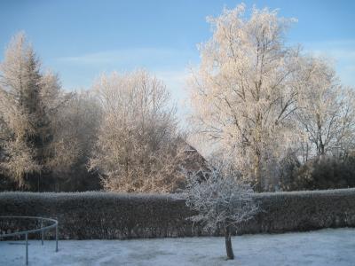 Bild zu winter im wangerland - Forum und Treffpunkt für Omas