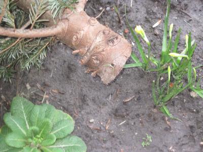 Bild zu lustiges foto - Forum und Treffpunkt für Omas