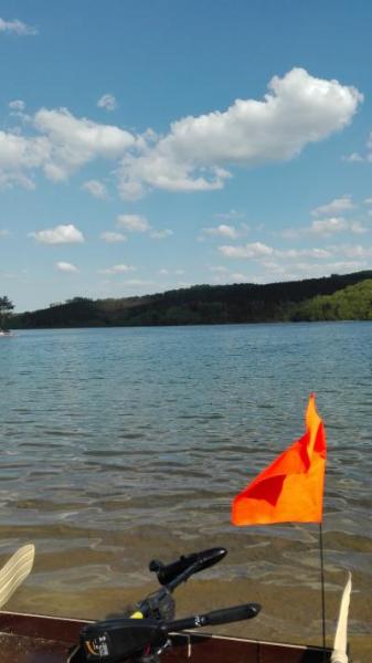 Bild zu Guten Morgen - Forum und Treffpunkt für Omas