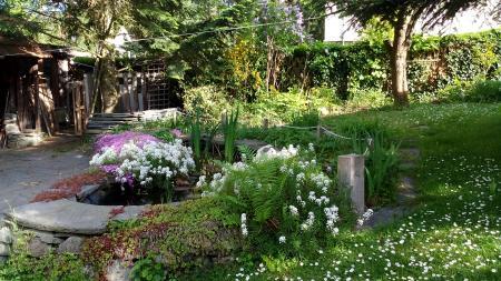 Bild zu summertime - Forum und Treffpunkt für Omas