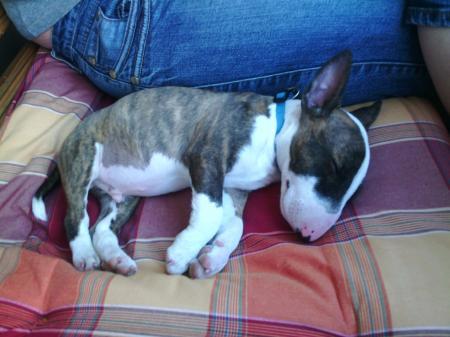 Bild zu Danke an alle - Forum und Treffpunkt für Omas