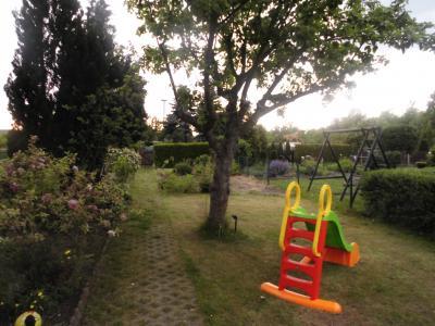 Bild zu Garten - Forum und Treffpunkt für Omas