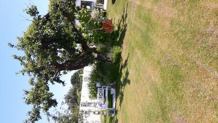 Bild zu Querschnitt - Forum und Treffpunkt für Omas