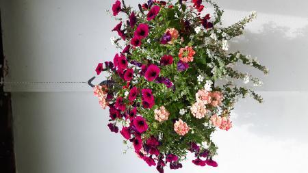 Bild zu Bild - Forum und Treffpunkt für Omas