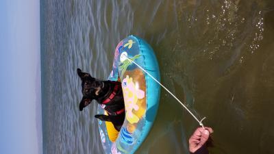 Bild zu Foto von Kapitän Cassillas ;-) - Forum und Treffpunkt für Omas