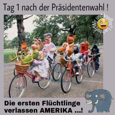 Bild zu Quergelesen - Forum und Treffpunkt für Omas