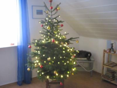 Bild zu unser fewobaum - Forum und Treffpunkt für Omas