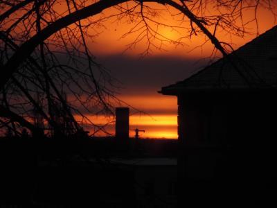 Bild zu Guten Morgen - Forum und Treffpunkt für Omas