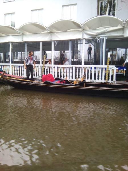 Bild zu So, nach 1 Woche nur mit Handy online - Forum und Treffpunkt für Omas