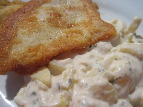 Bild zu Scholle - Forum und Treffpunkt für Omas