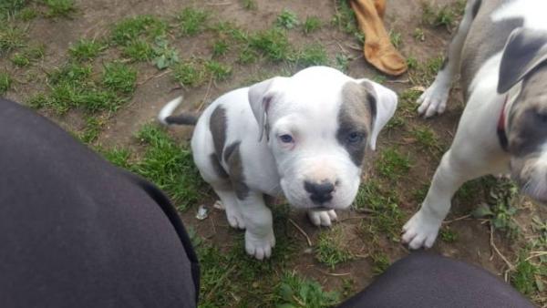 Bild zu Unser Familienzuwachs - Forum und Treffpunkt für Omas