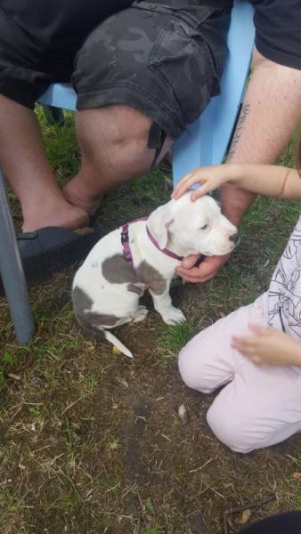 Bild zu Nun ist sie "zu Hause" - Forum und Treffpunkt für Omas