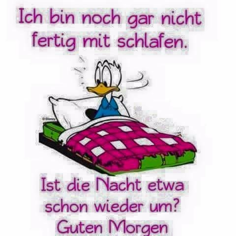 Bild zu Guten morgen - Forum und Treffpunkt für Omas