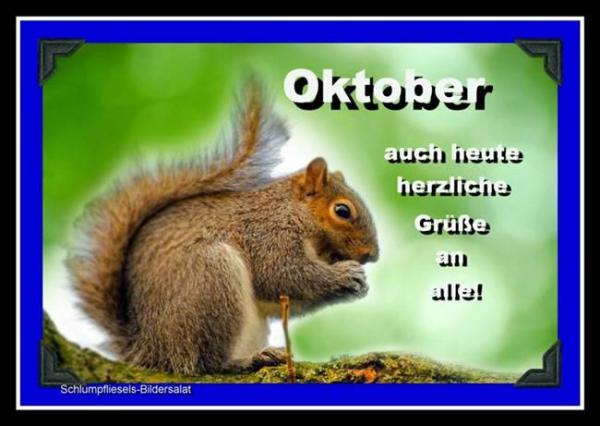 Bild zu Oktober - Forum und Treffpunkt für Omas