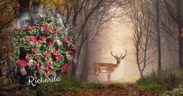 Bild zu Ich habe Wochenende - Forum und Treffpunkt für Omas