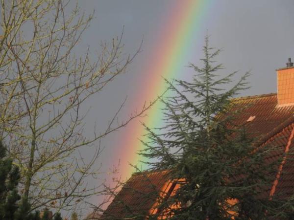 Bild zu moinsen - Forum und Treffpunkt für Omas