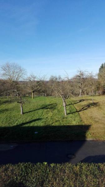 Bild zu guten Abend - Forum und Treffpunkt für Omas