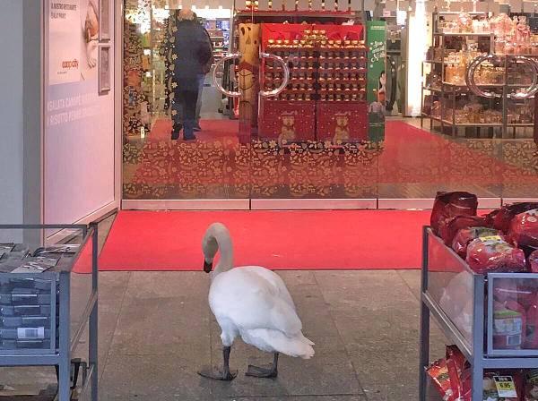 Bild zu noch mehr bilder - Forum und Treffpunkt für Omas