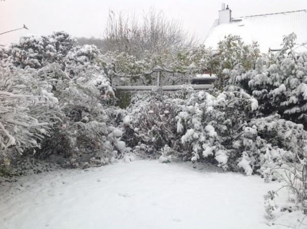 Bild zu Pünktlich zum 2.Advent... - Forum und Treffpunkt für Omas