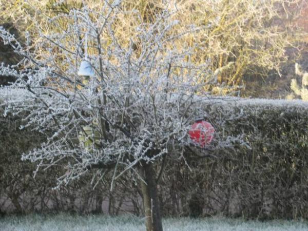 Bild zu moin.. - Forum und Treffpunkt für Omas