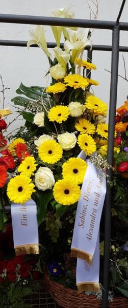 Bild zu muss was fragen - Forum und Treffpunkt für Omas