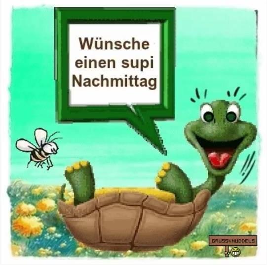 Bild zu Für euch - Forum und Treffpunkt für Omas