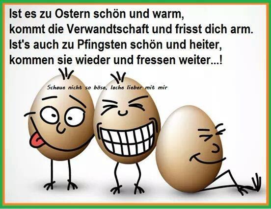 Bild zu Samstag - Forum und Treffpunkt für Omas