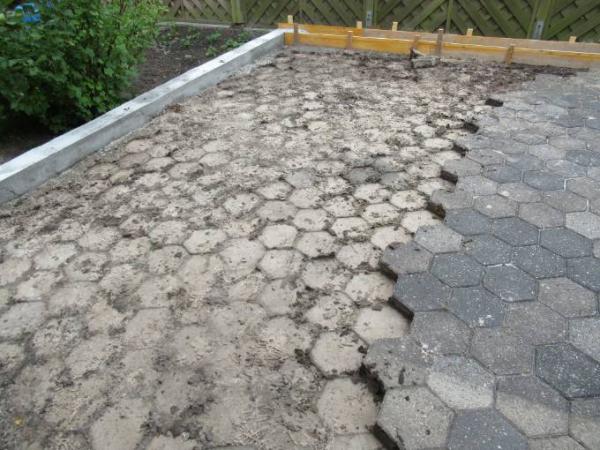 Bild zu jetzt gehts endlich los - Forum und Treffpunkt für Omas