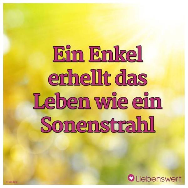 Bild zu Zurück - Forum und Treffpunkt für Omas