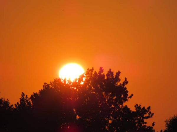 Bild zu wochenteiler - Forum und Treffpunkt für Omas