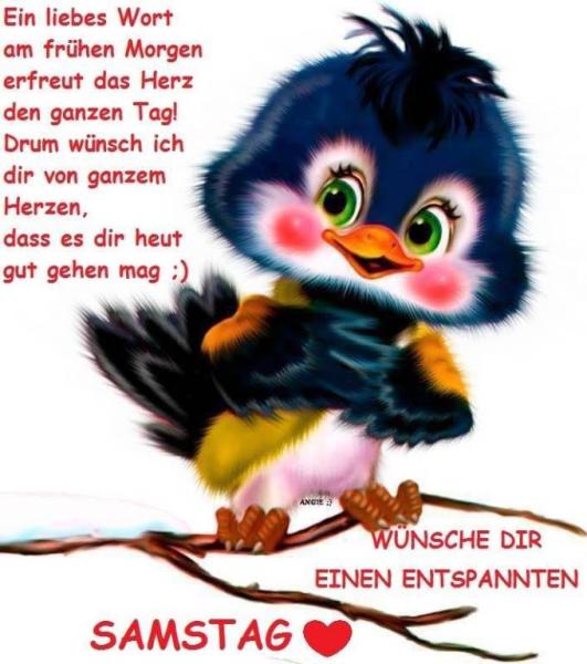 Bild zu Samstag - Forum und Treffpunkt für Omas