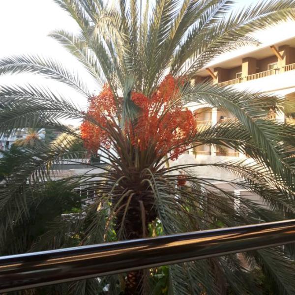 Bild zu Grüße aus der Türkei - Forum und Treffpunkt für Omas