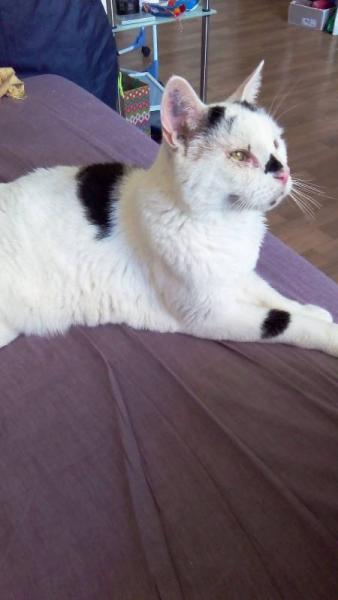 Bild zu Google sei Dank - Forum und Treffpunkt für Omas