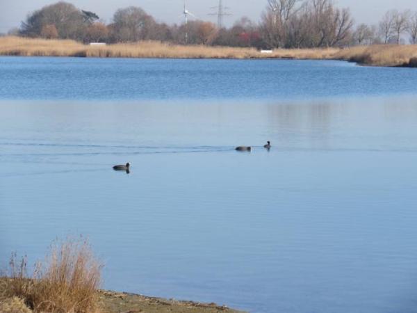 Bild zu spaziergang gemacht - Forum und Treffpunkt für Omas