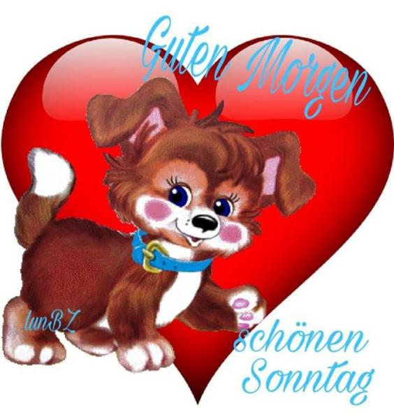 Bild zu Schönen Sonntag - Forum und Treffpunkt für Omas