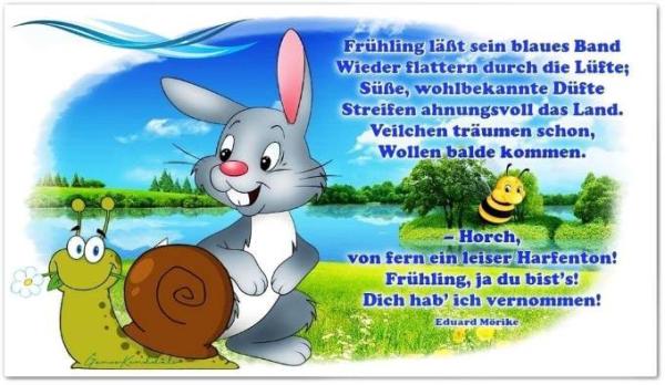 Bild zu Nicht viel los - Forum und Treffpunkt für Omas